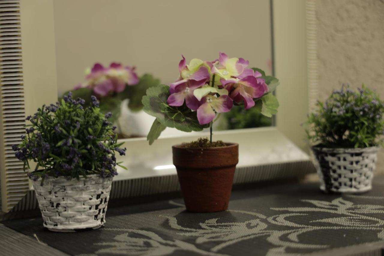 Alexandra Apartment